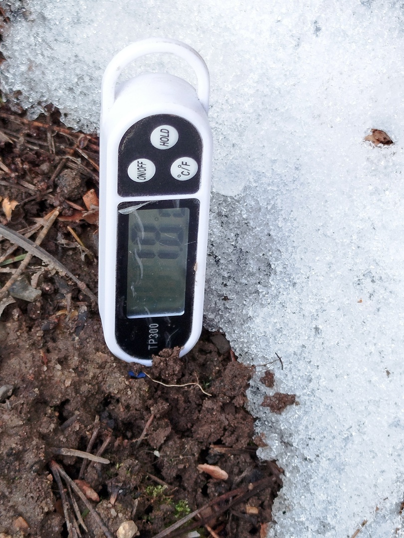 прогрев земли в тени