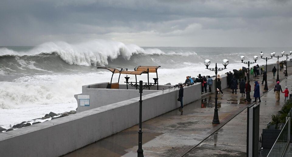    РИА «Новости»