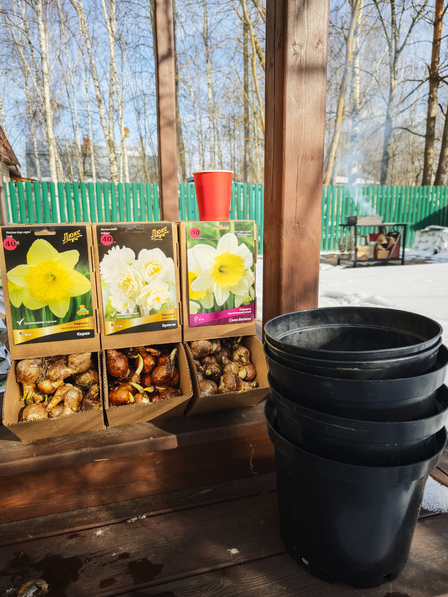 К посадке готовы. Мангал дымит, кофе согревает