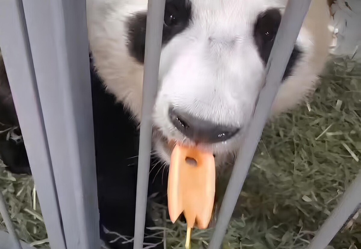     / Источник: Кадр из видео