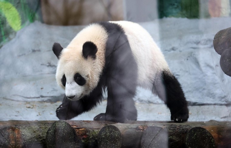    Алексей Белкин/NEWS.ru