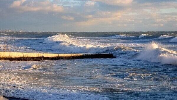    © Фото: Telegram-канал Сочи официальный