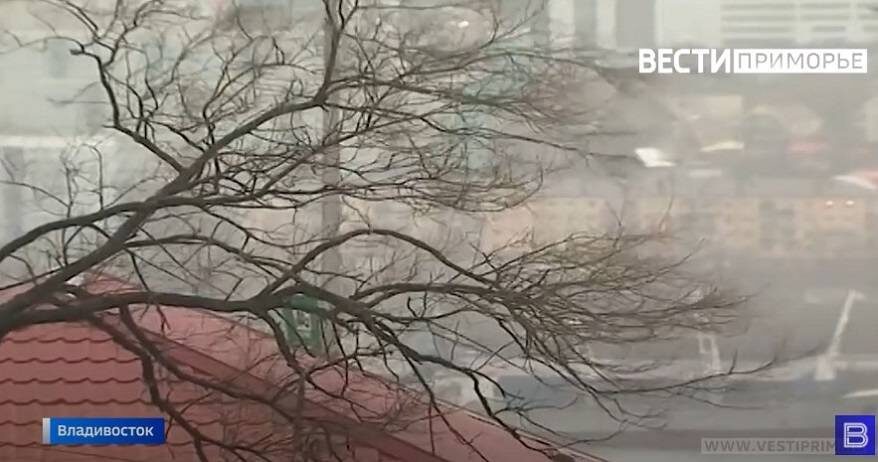    Источник фото: