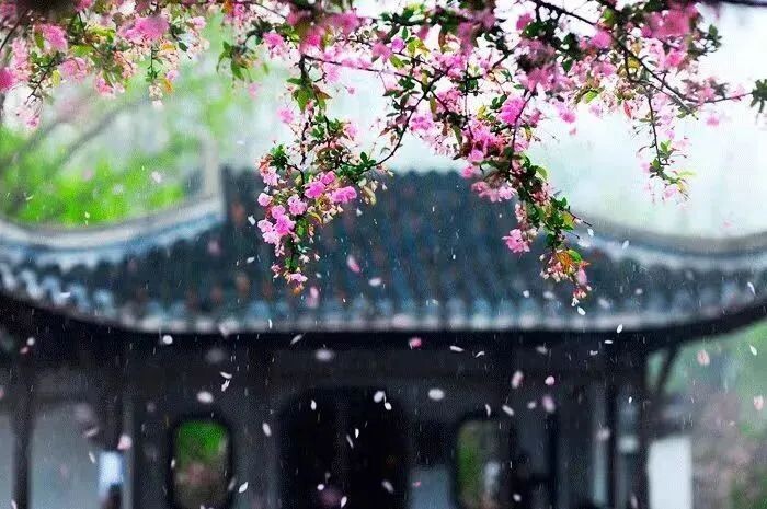 Источник изображения: baidu.com