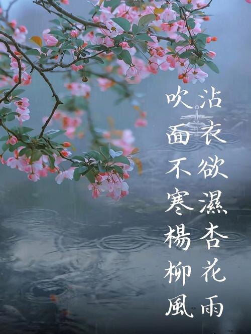 Источник изображения: baidu.com