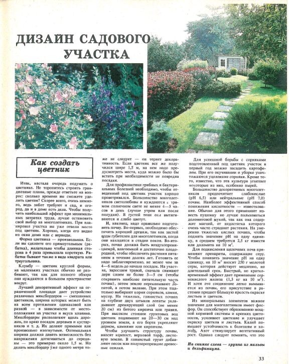 Здесь и далее в качестве иллюстраций использованы скрины страниц журнала "Цветоводство". Нашла в ВК. У мамы были такие же. Хочу показать вам, какие картинки меня цепляли с детства. Здесь - это маленький летний домик, утопающий в зелени. И тропинка меж цветов и кустарников, ведущая к нему.