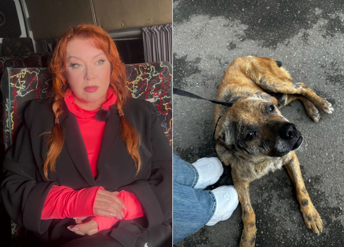 Фото: соцсети Веры Сотниковой