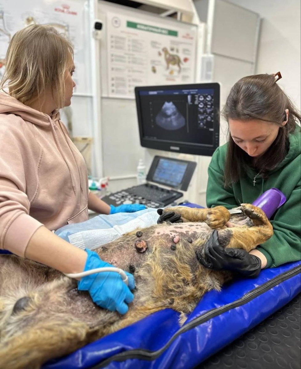 Фото: соцсети Веры Сотниковой