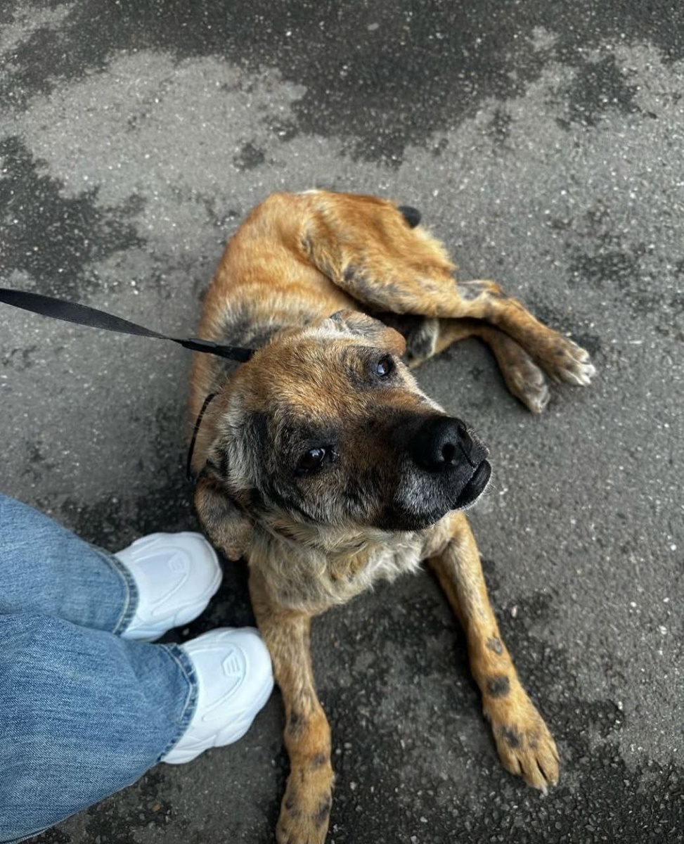 Фото: соцсети Веры Сотниковой