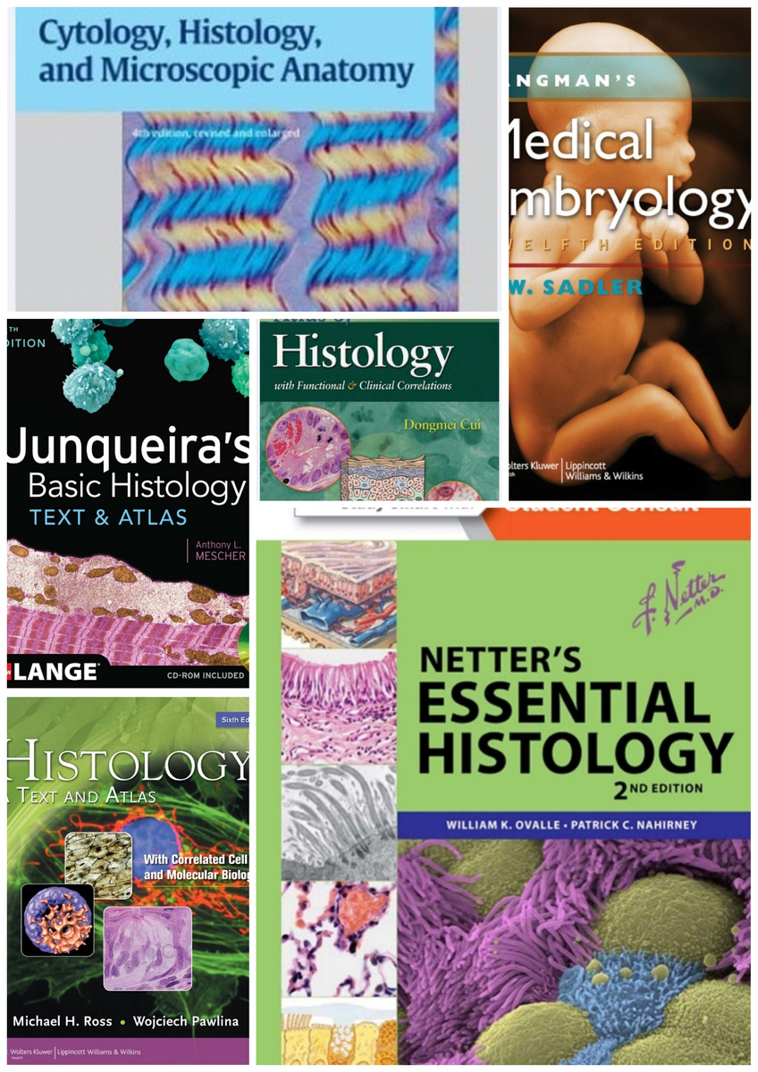 Вот они, любимые книги 