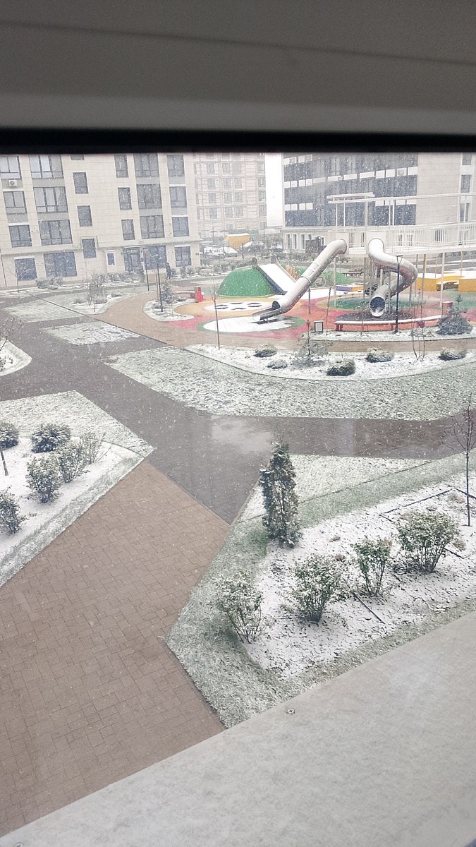 Неожиданный снег❄❄❄