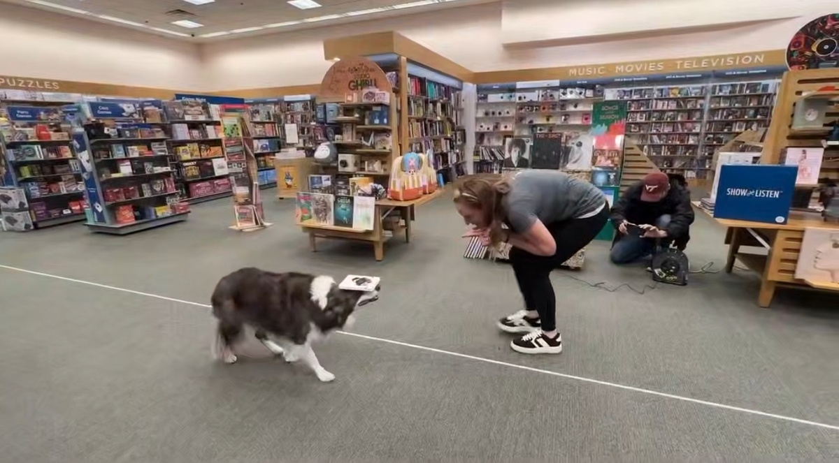 Посмотрите какой баланс