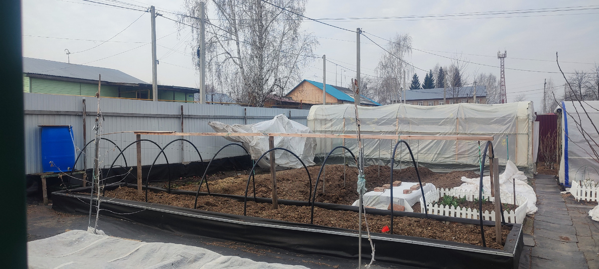 Фото моего огорода на 13.04.25