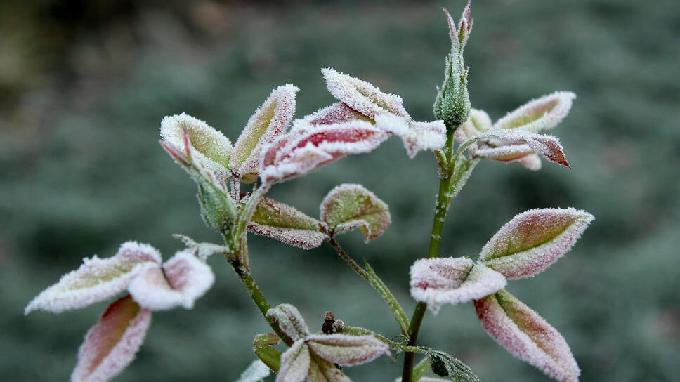 Фото: «Ъ-Кубань»