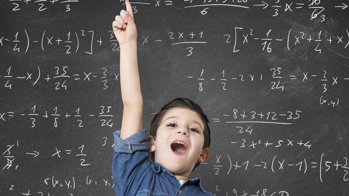    Математическая вертикаль: новый взгляд на изучение математики в школах