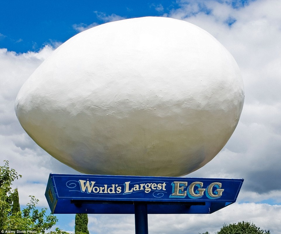 World's Largest EGG