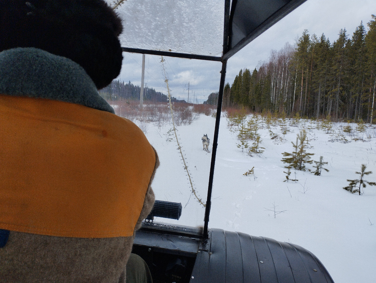 Едем по буранке в сторону леса.