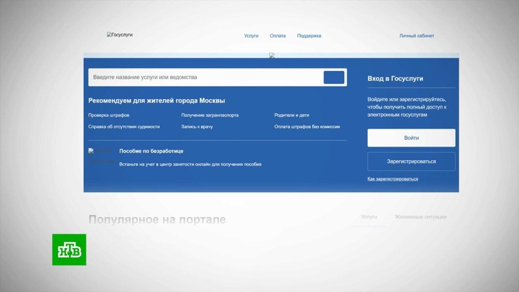    В Минцифры разъяснили, как защититься от мошенников на «Госуслугах»
