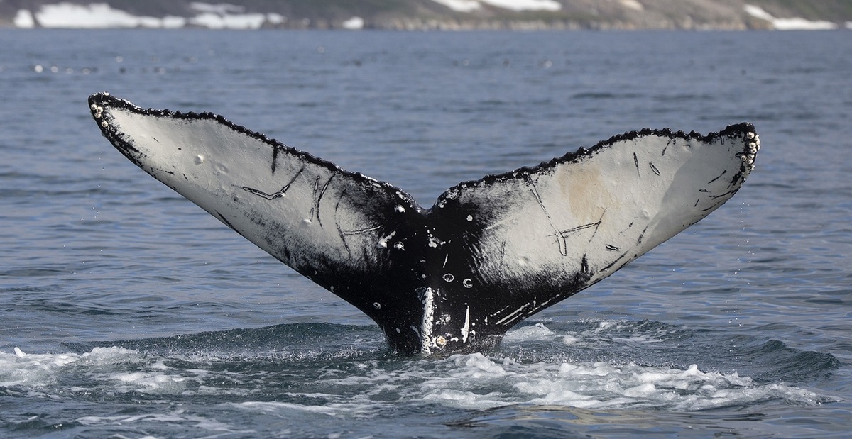 Источник: vk.com/park.beringia