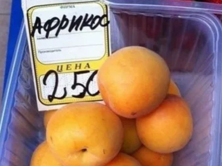 Фото из интернета 