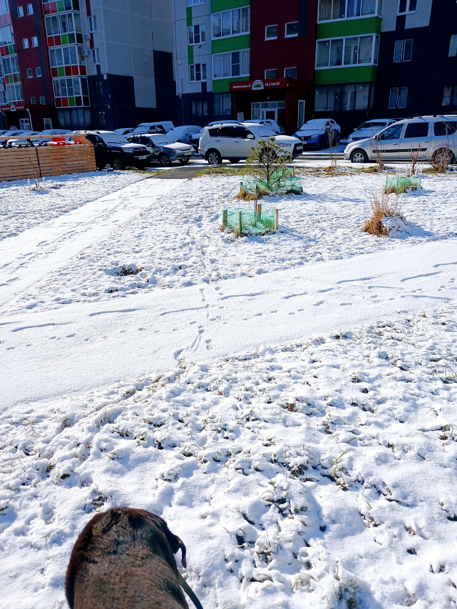 "Доброе утро, мир! Ты прекрасен!" Фото автора