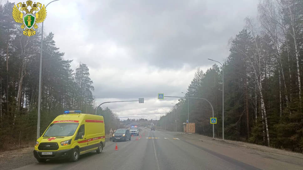 В Медведевском районе Марий Эл сбили пешехода.📷Фото: Прокуратура Республики Марий Эл