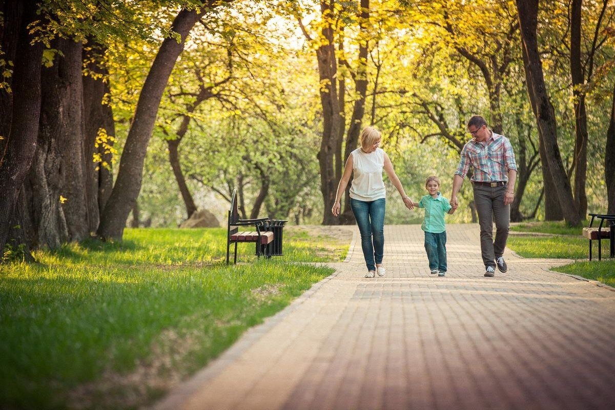 Картинка из интернета для иллюстрации