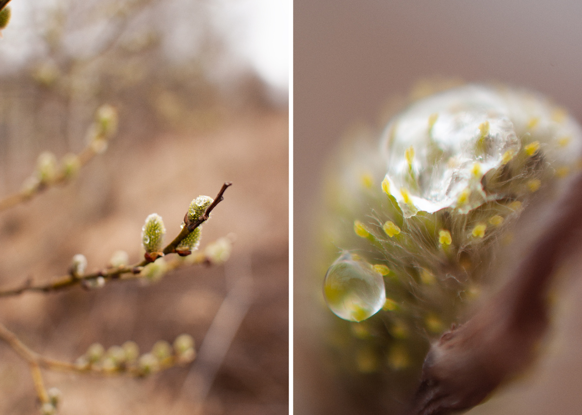 Личное фото