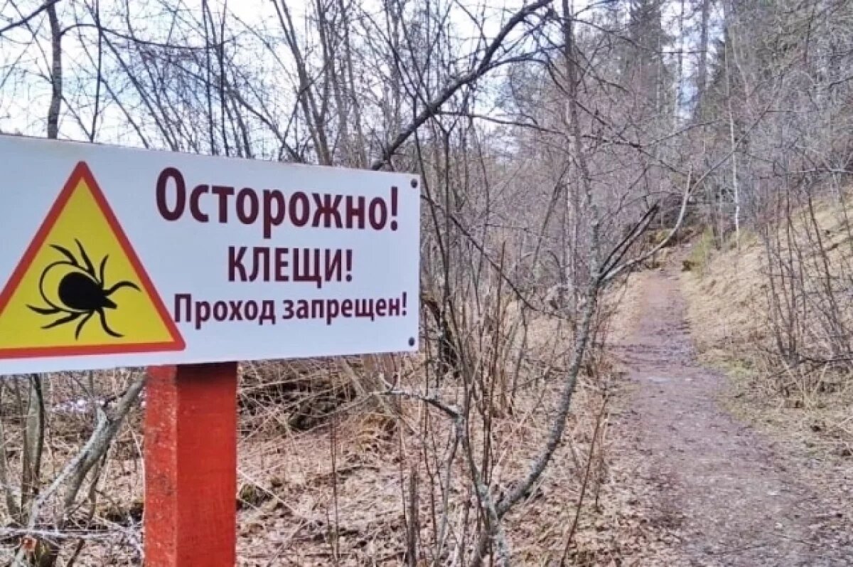    Из-за клещей и паводка на Урале закрыли часть парка «Оленьи ручьи»