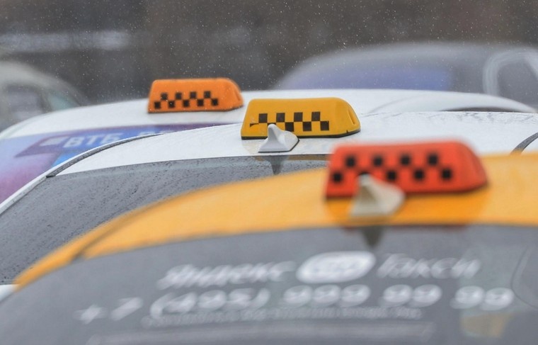    Наталья Шатохина/NEWS.ru