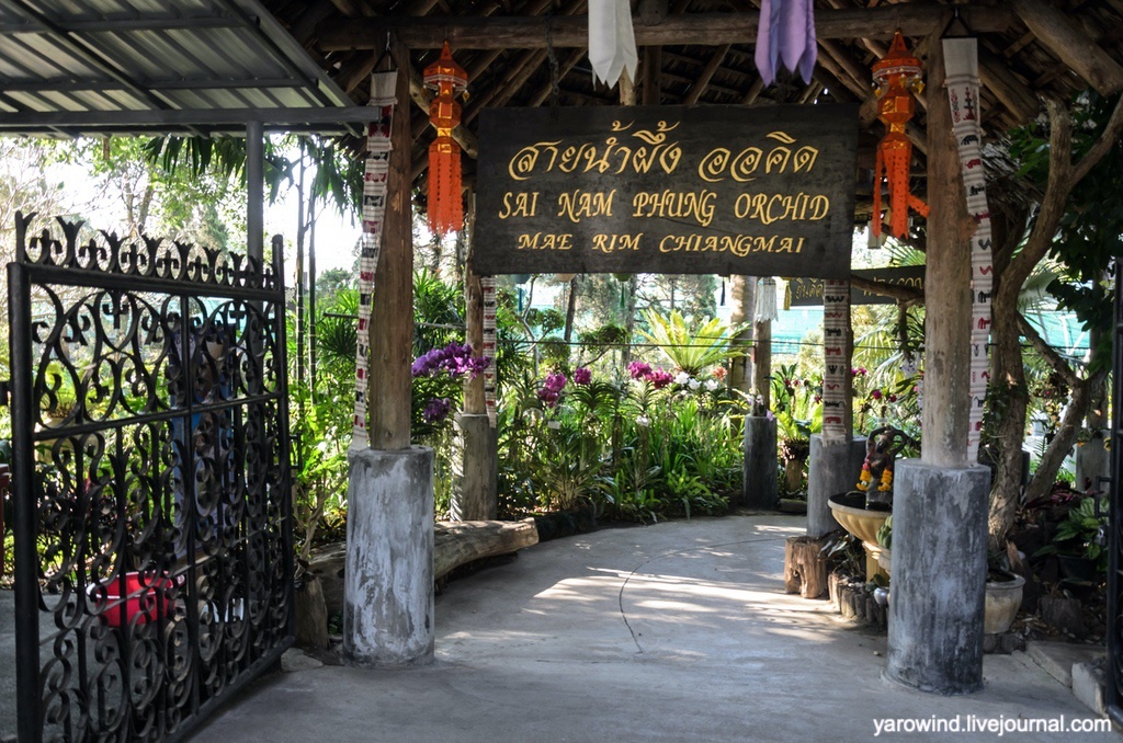 Сад орхидей