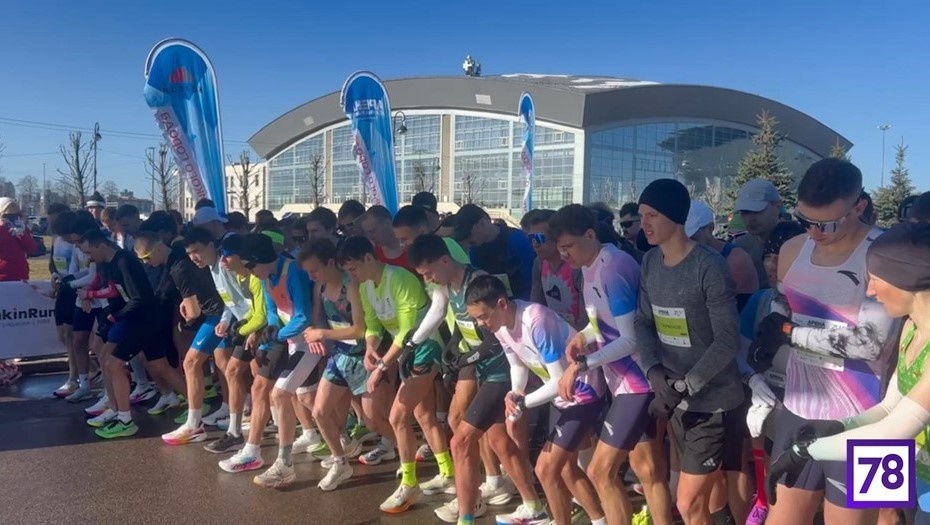    Автор фото: 78.ru