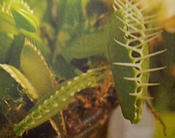 Фото от автора.