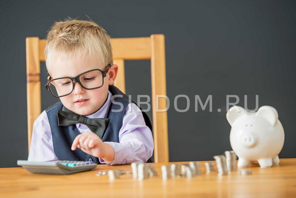    Почему дети транжирят деньги