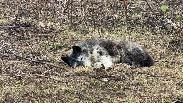    Фото: vm.ru Георгий