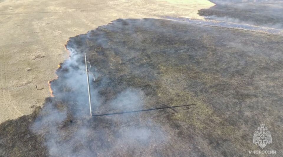    Природный пожар в Алтайском крае. Источник: МЧС Алтайского края