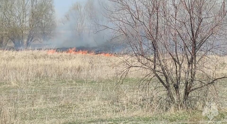    Природный пожар в Алтайском крае. Источник: МЧС Алтайского края