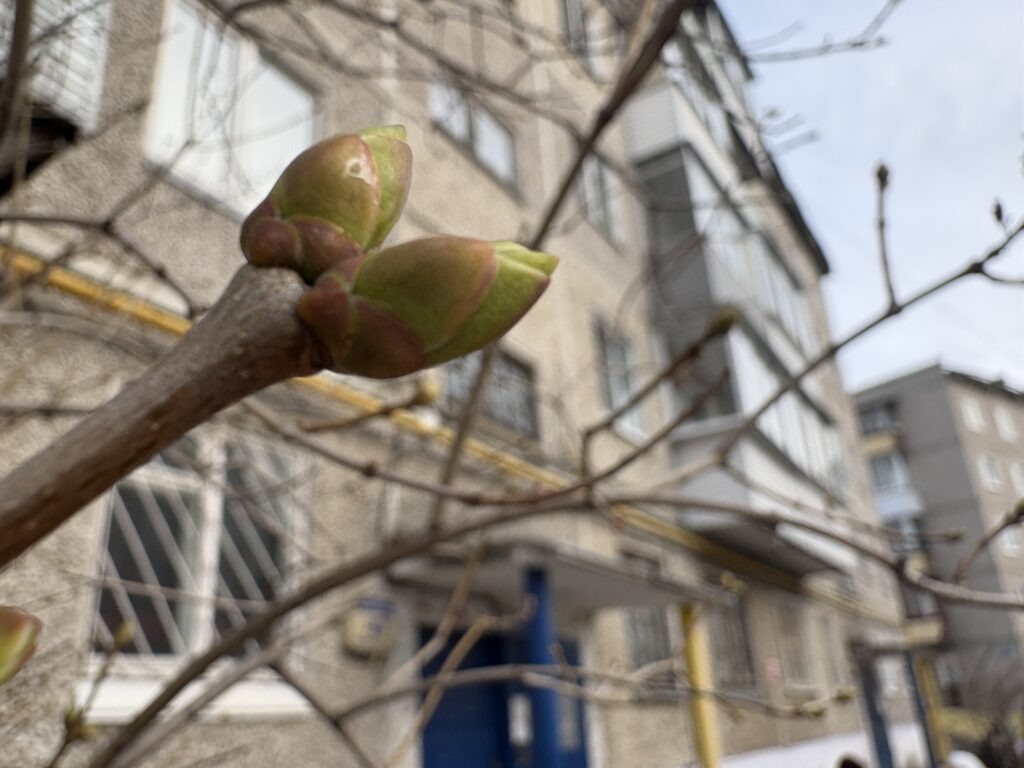    Фото: Ольга Гилева Ульяна Бажанова