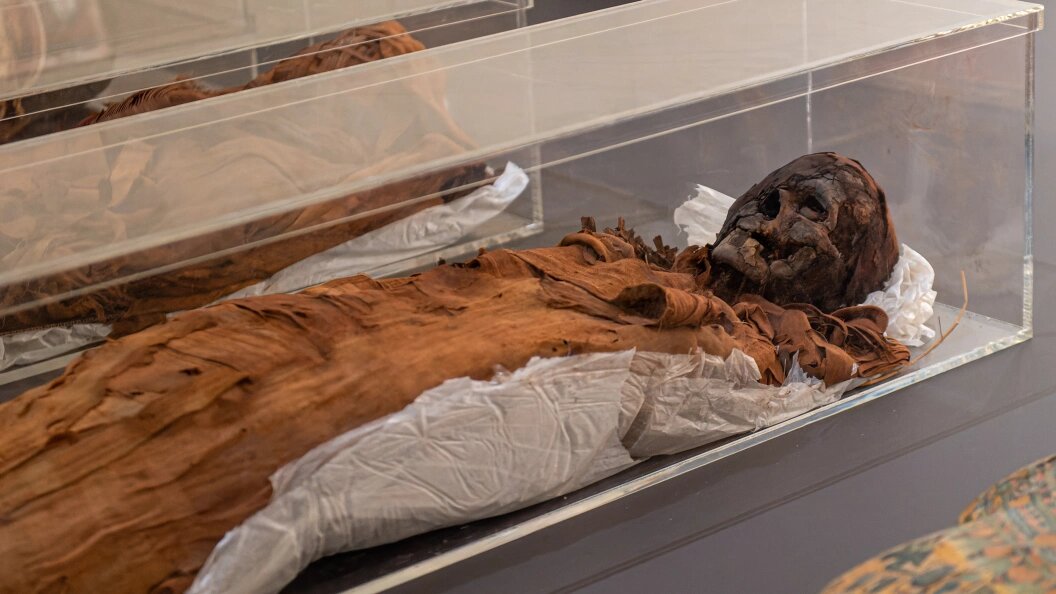    Komsomolskaya Pravda/Globallookpress