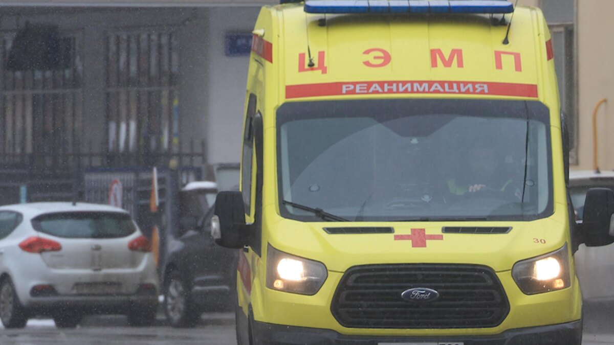    Фото: Shatokhina Natalia/news.ru