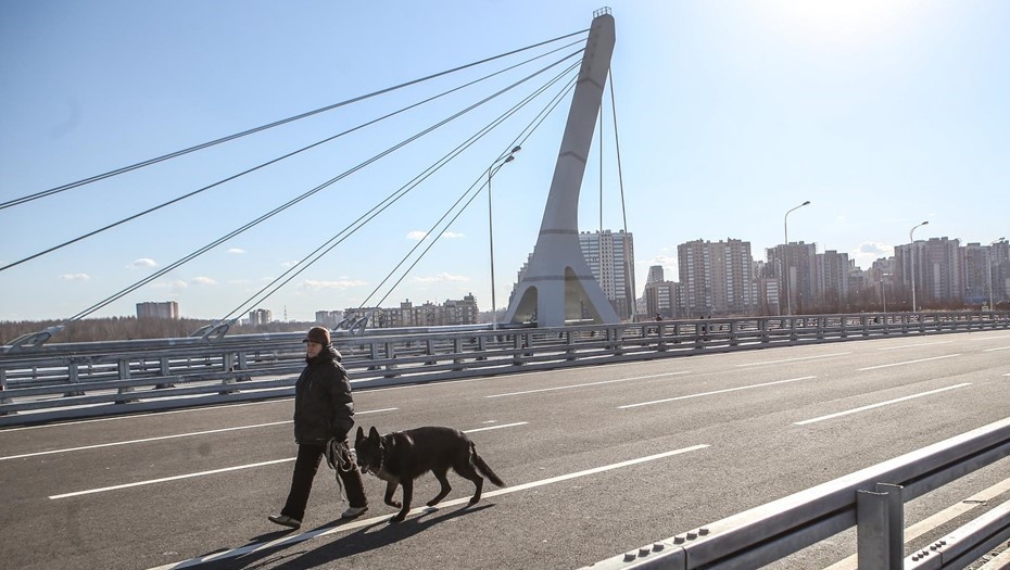    Автор фото: Сергей Коньков / "ДП"