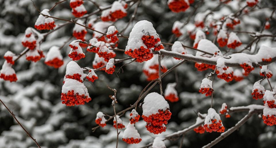    Andrey Titov/Business Online / www.globallookpress.com