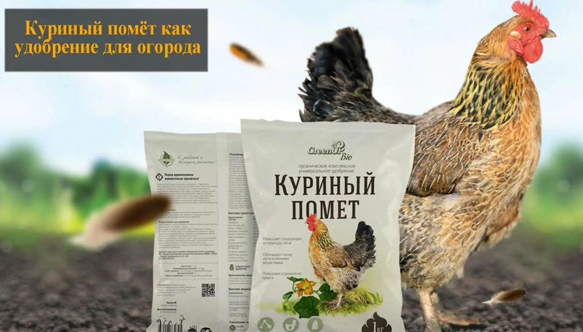 куриный помёт