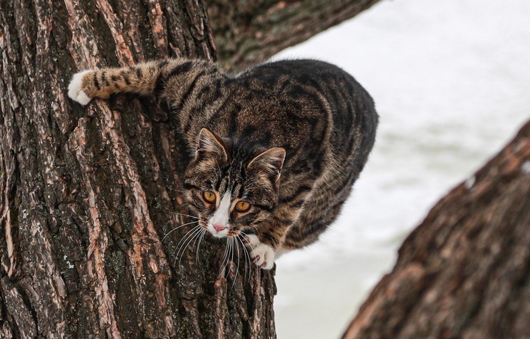    Сергей Булкин/NEWS.ru