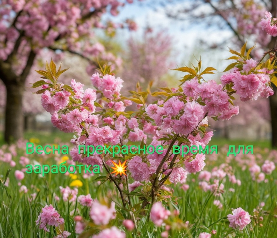 А у тебя есть идеи?