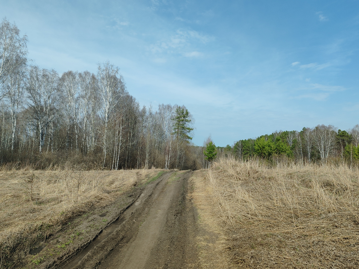 В этот раз поехали по нижней дороге к водопаду и не пожалели, такую красоту нашла! Но об этом позже.