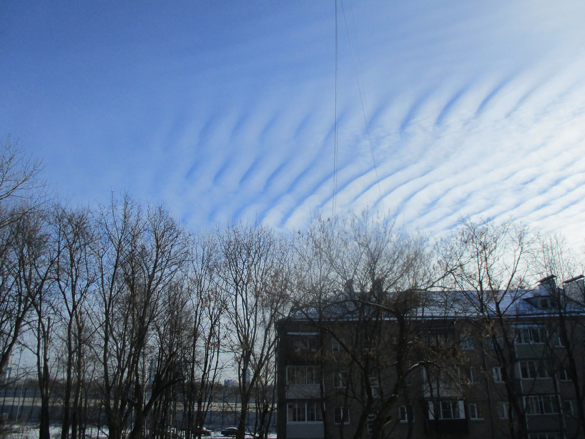 "Всё то же вид из моего окна"