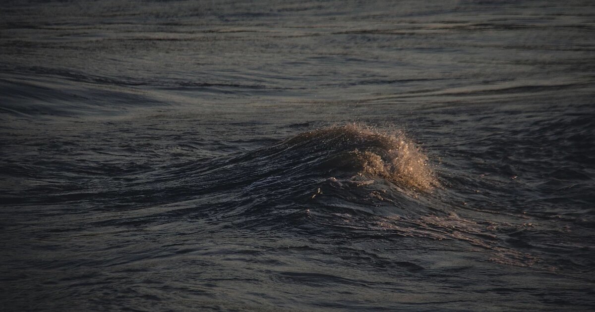 Фото: Kirill Pershin / Unsplash