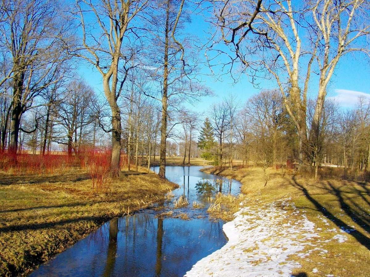 фотои из открытых источников интернета