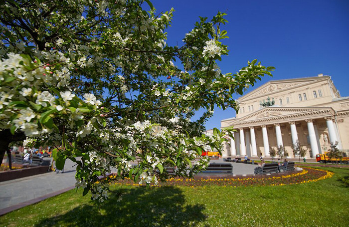    Александр Авилов/АГН «Москва»